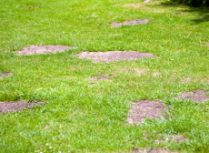 Бутсы SG мягкий грунт